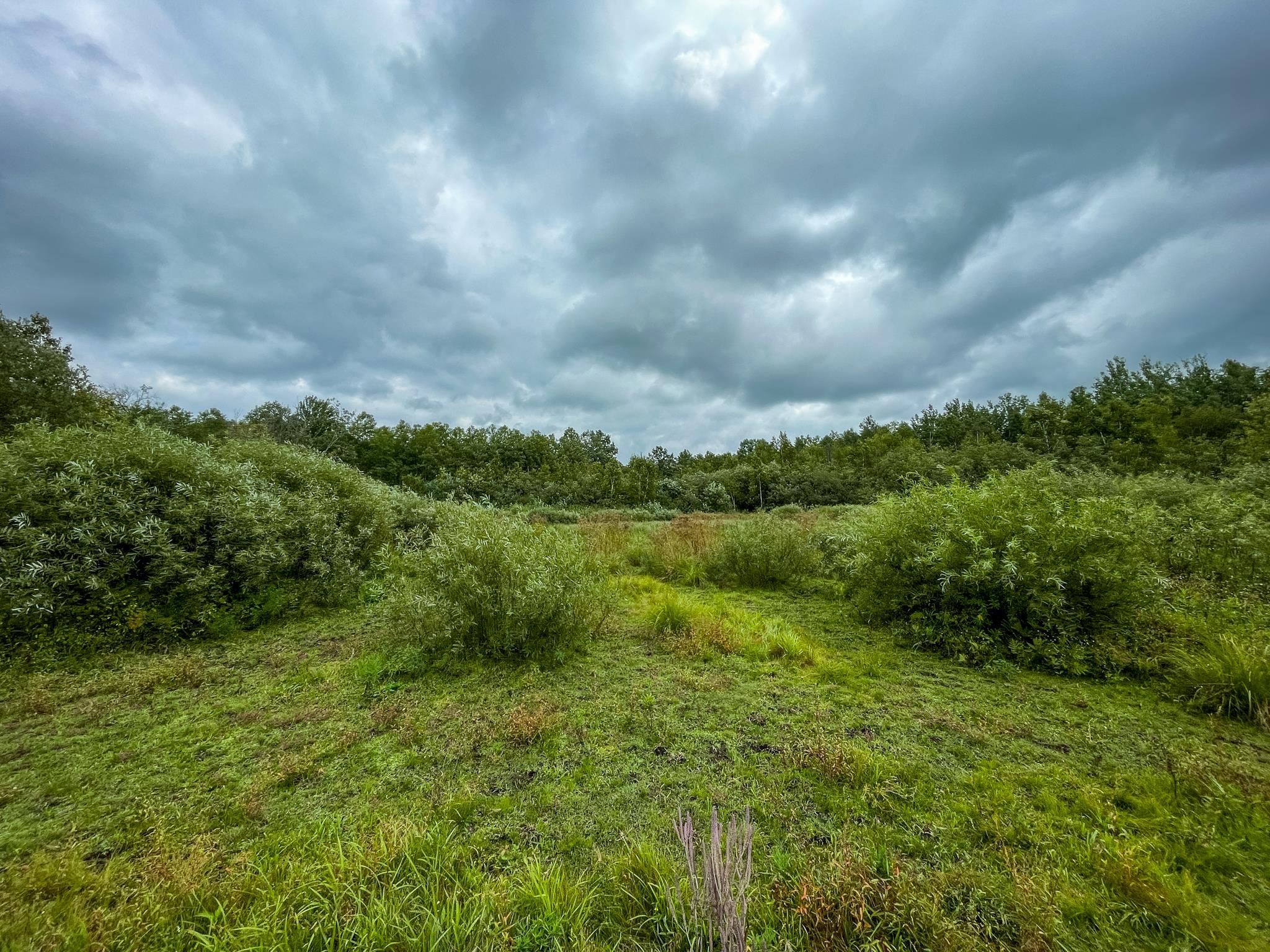 9205 Woehrle Lane Marshfield, WI 54449 - Photo 55 of 79