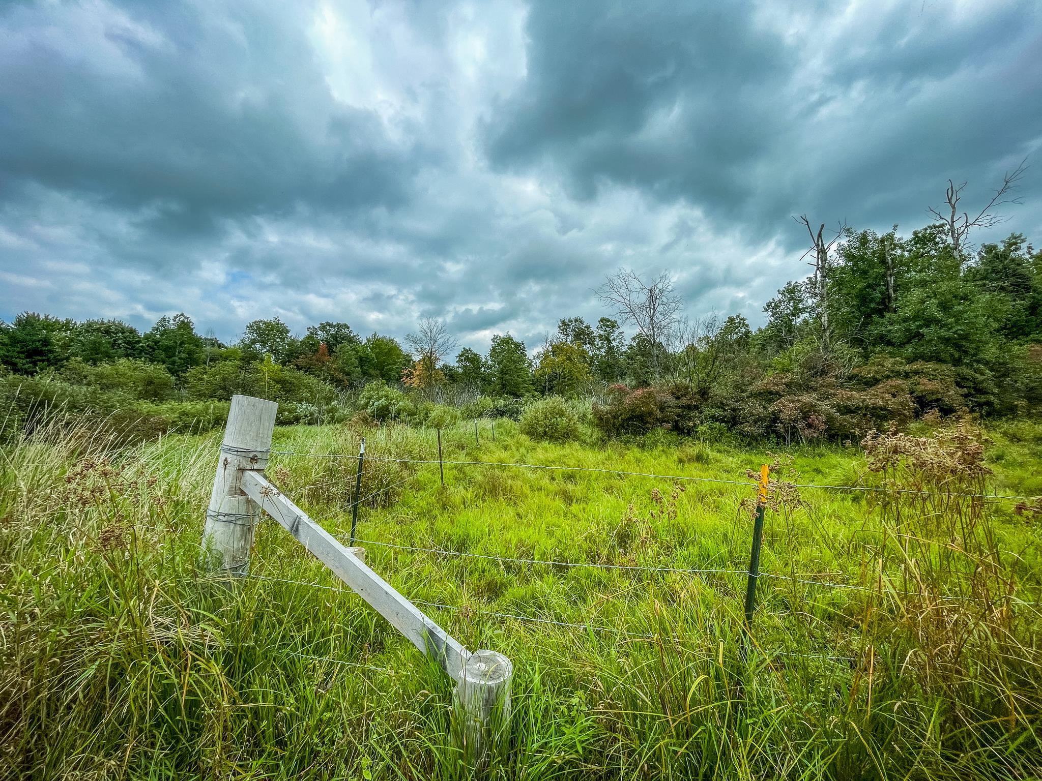 9205 Woehrle Lane Marshfield, WI 54449 - Photo 56 of 79