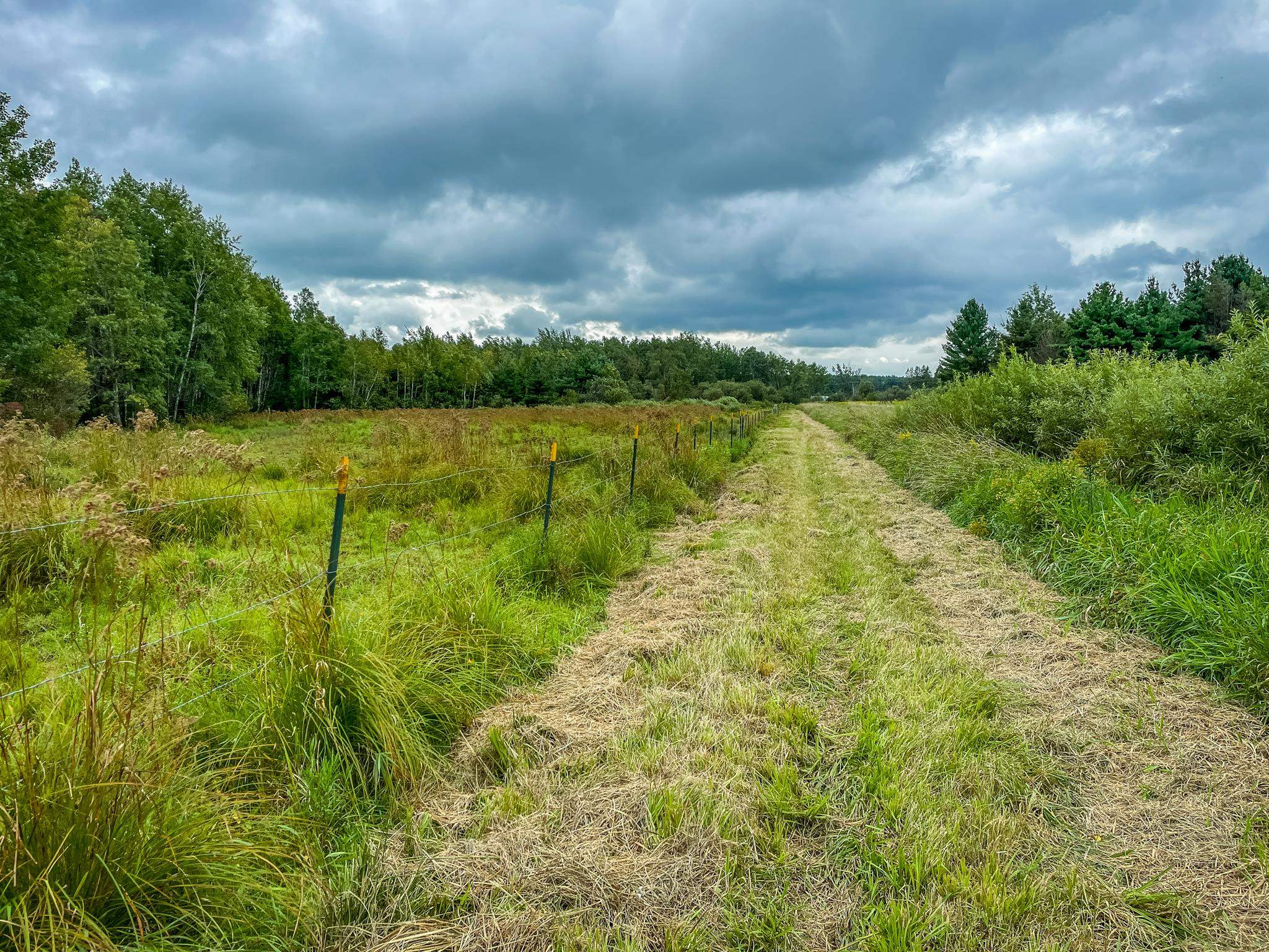 9205 Woehrle Lane Marshfield, WI 54449 - Photo 57 of 79