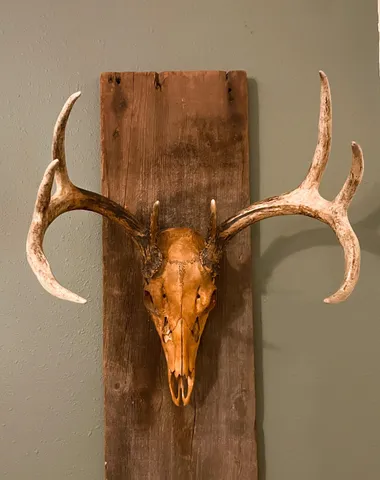 $489,900 | 9205 Woehrle Lane, Marshfield, WI 54449