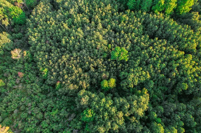 $489,900 | 9205 Woehrle Lane, Marshfield, WI 54449