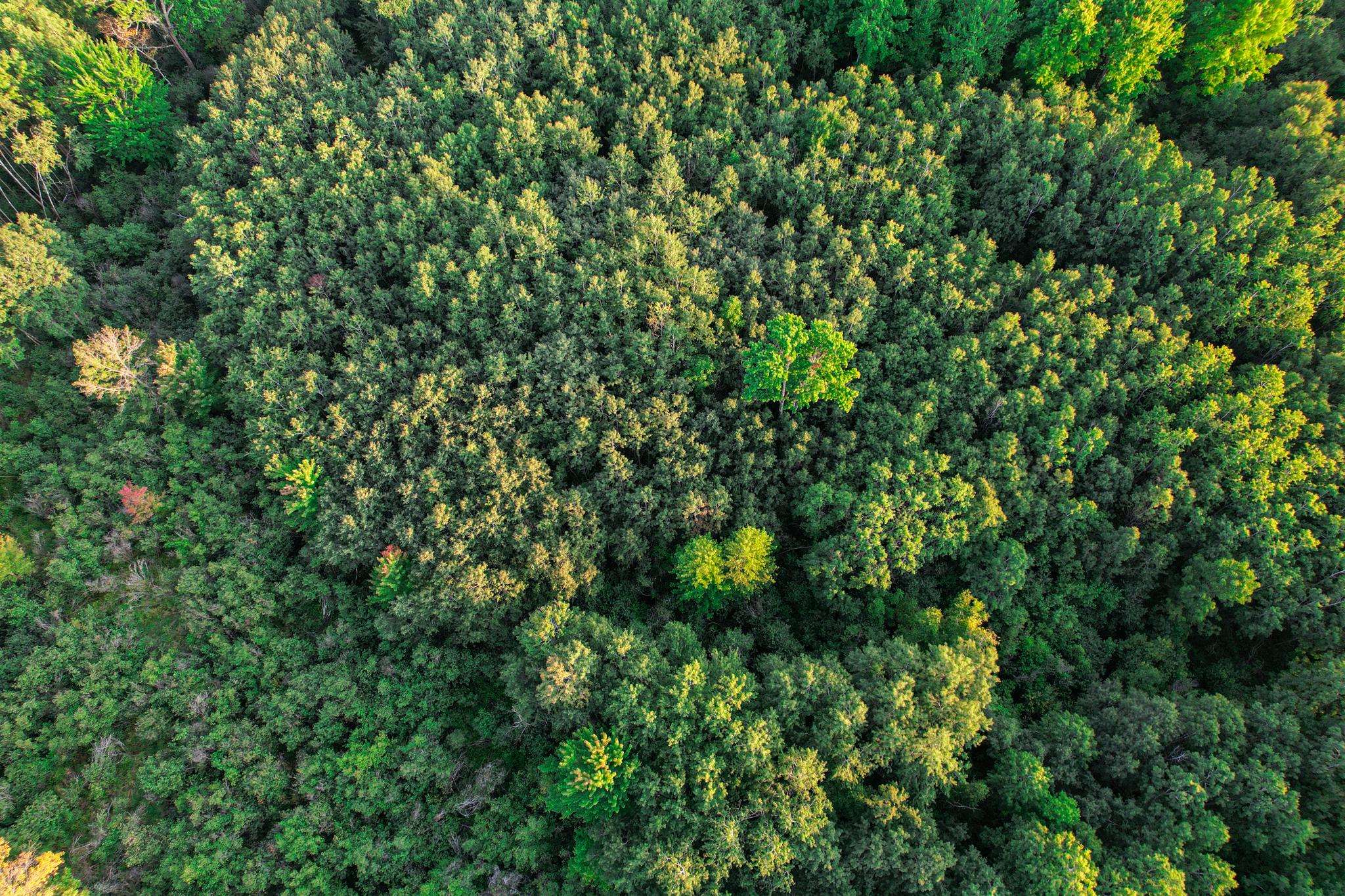 9205 Woehrle Lane Marshfield, WI 54449 - Photo 65 of 79