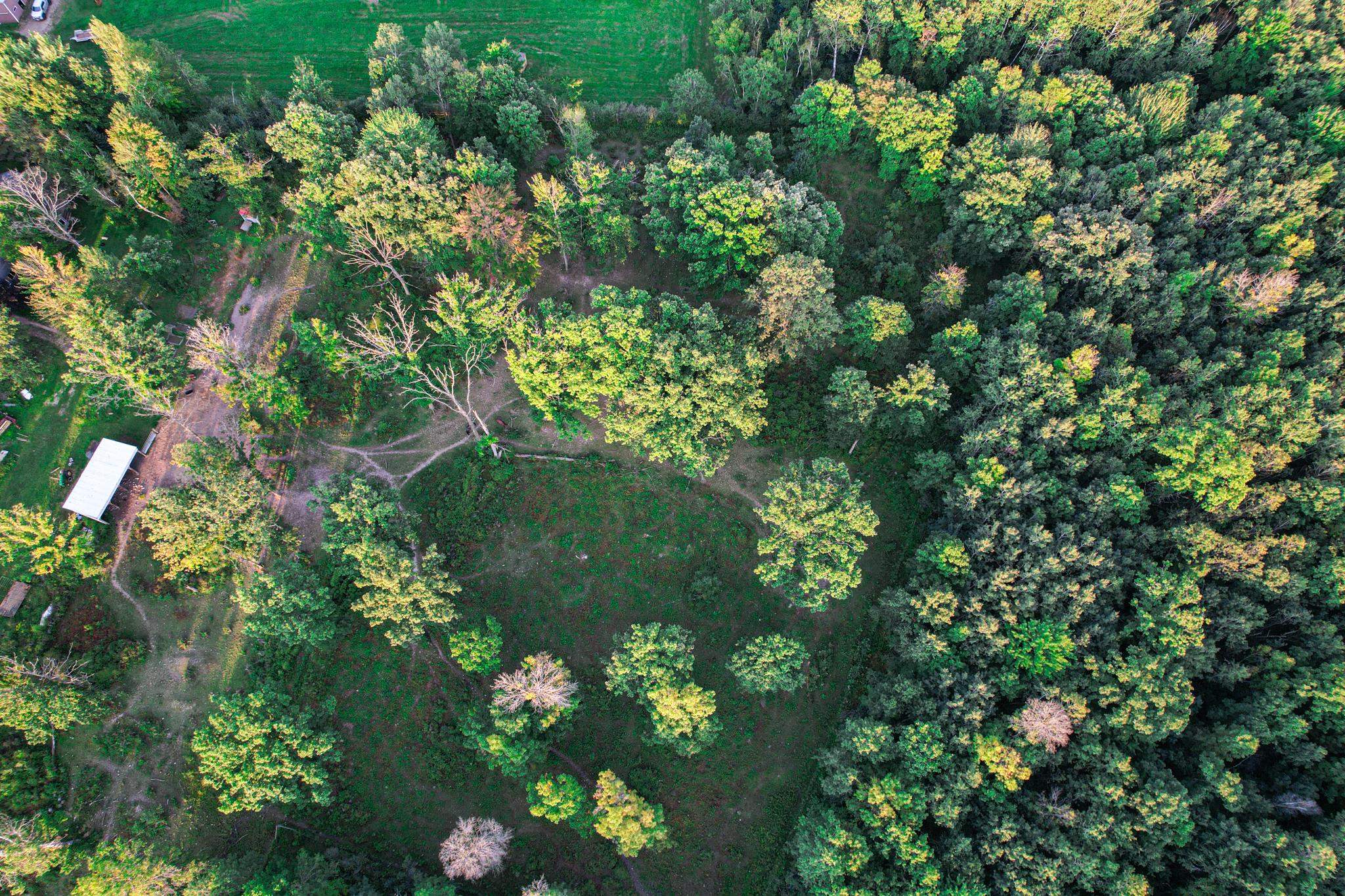 9205 Woehrle Lane Marshfield, WI 54449 - Photo 66 of 79