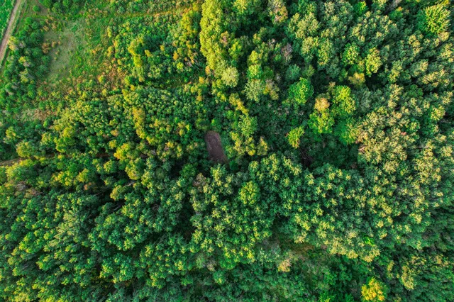 $489,900 | 9205 Woehrle Lane, Marshfield, WI 54449