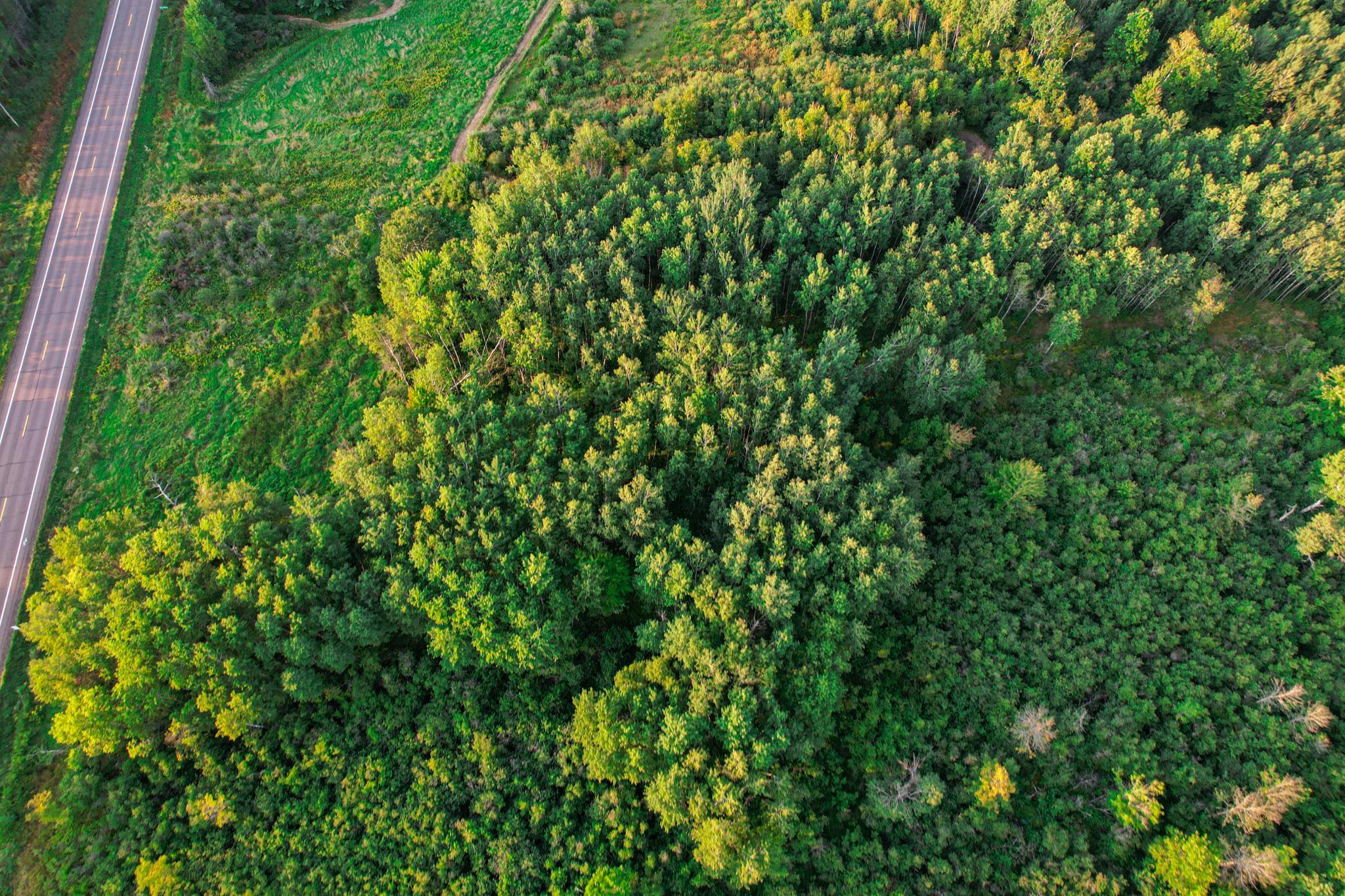 9205 Woehrle Lane Marshfield, WI 54449 - Photo 68 of 79