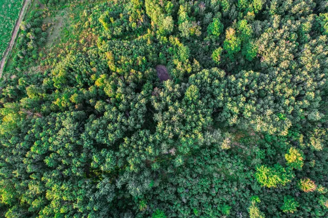 $489,900 | 9205 Woehrle Lane, Marshfield, WI 54449