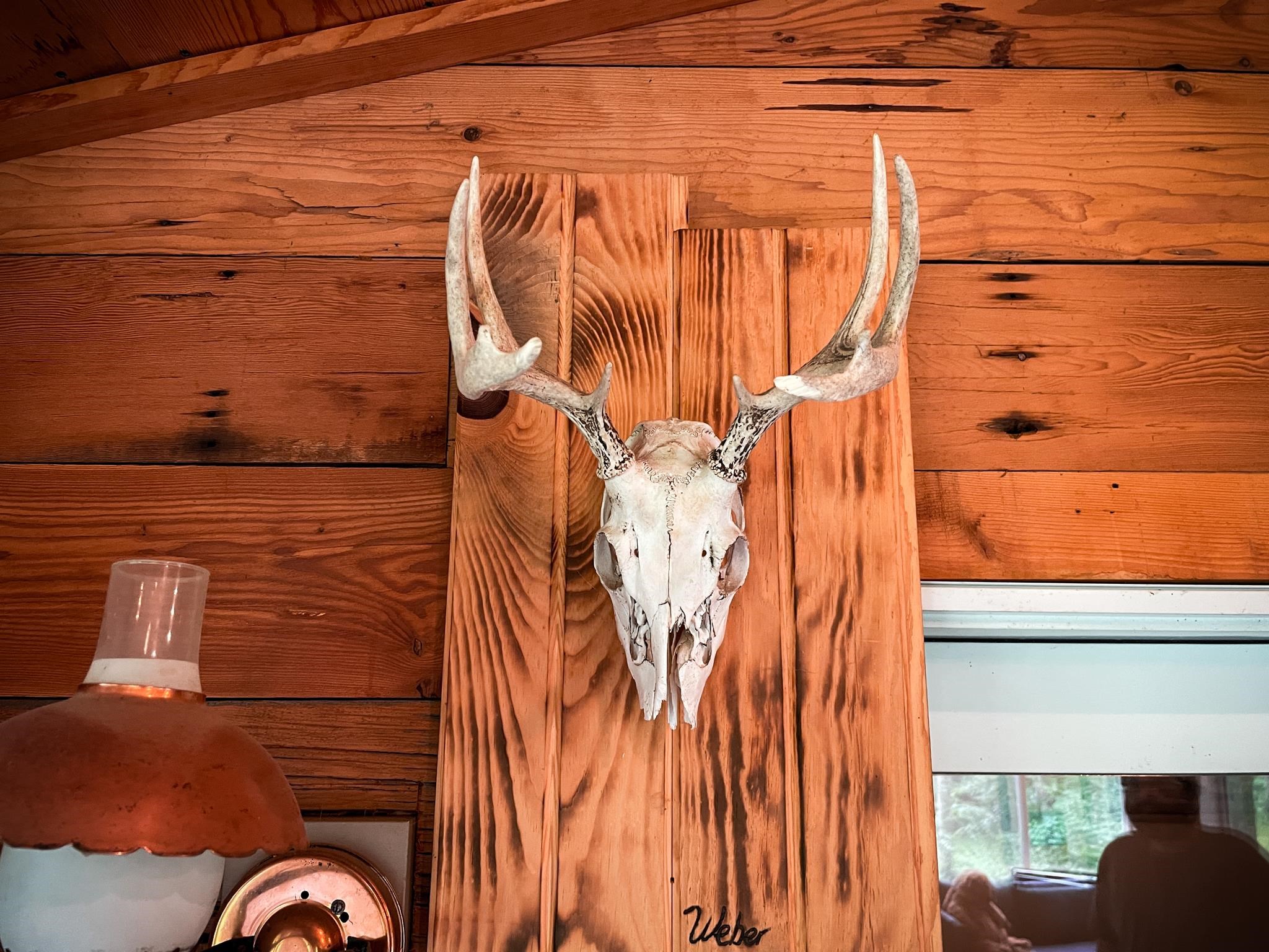 9205 Woehrle Lane Marshfield, WI 54449 - Photo 7 of 79