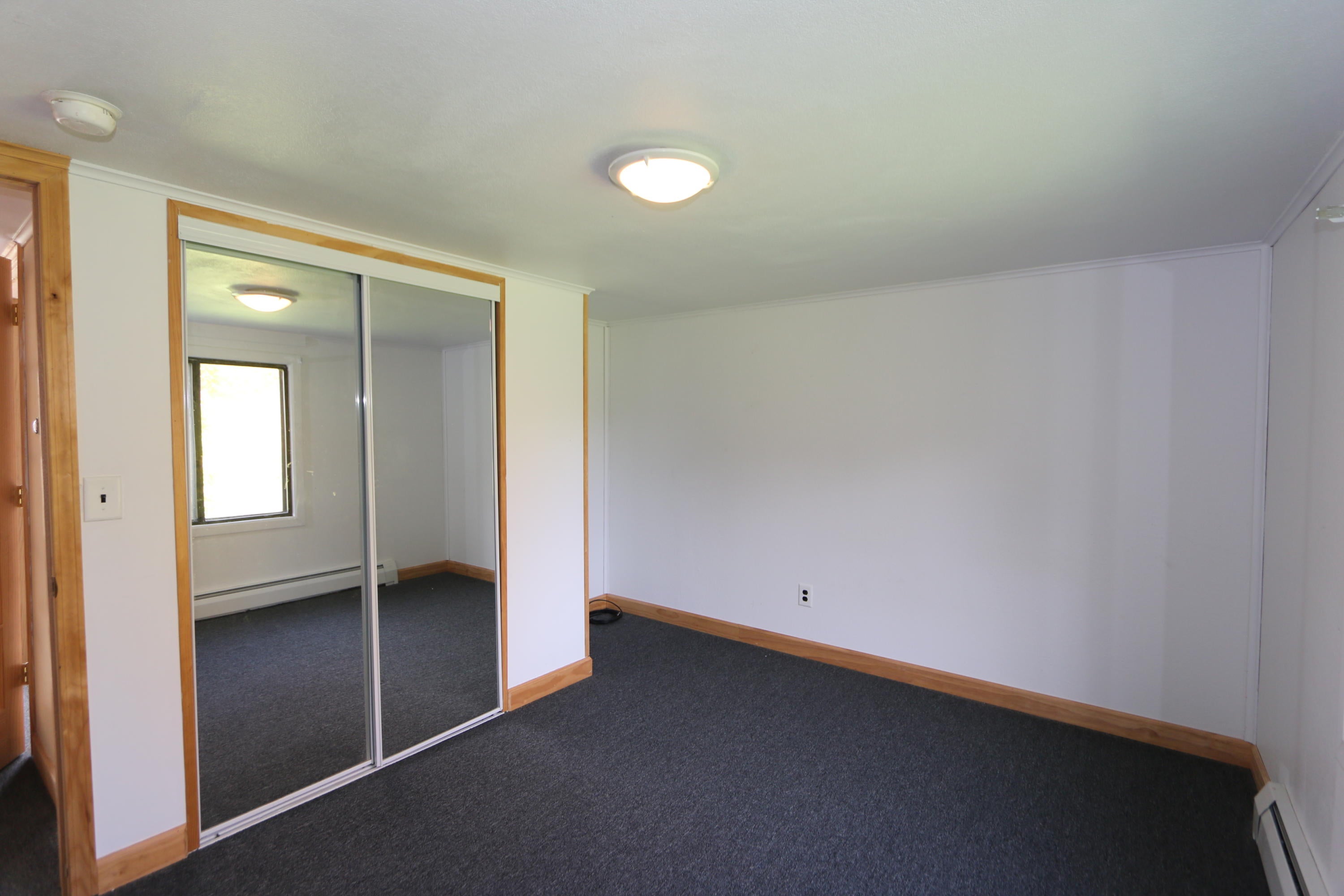10204 West Irish Line Road Brimley, MI 49715 - Photo 21 of 37 Gallery Image 21