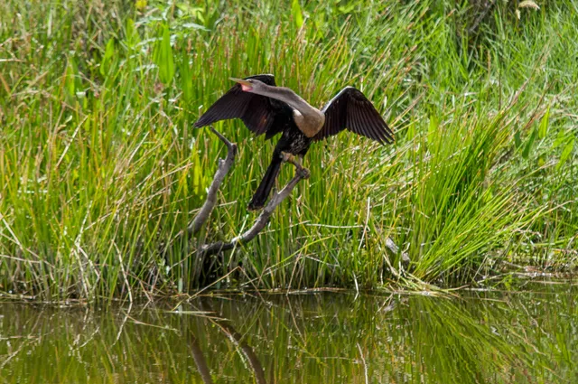 $14,000 | 34 Dunbar Road, Palm Beach Gardens, FL 33418