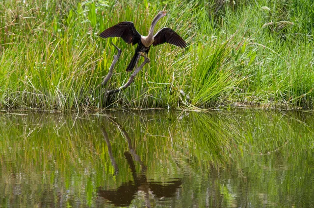 $14,000 | 34 Dunbar Road, Palm Beach Gardens, FL 33418