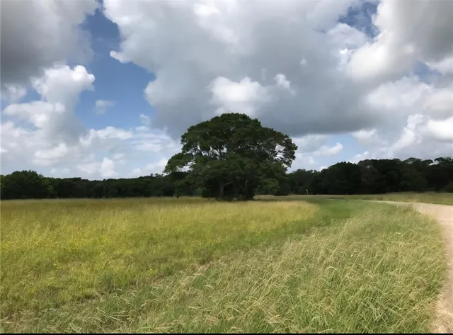 a view of an ocean and a yard