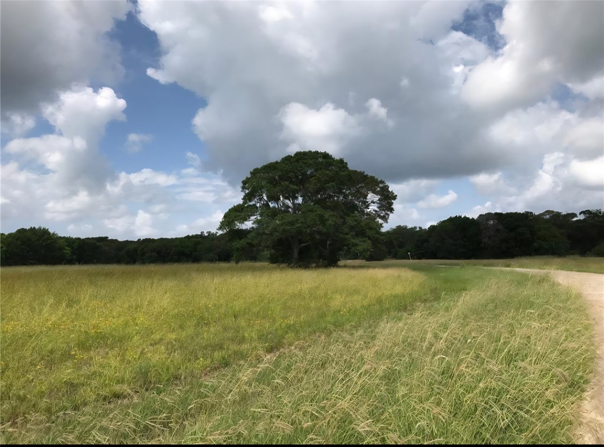 a view of an ocean and a yard