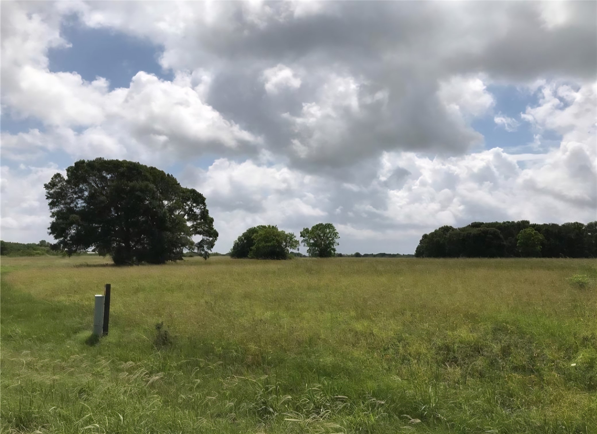 1007 Chuckwagon Trail Angleton, TX 77515 - Photo 3 of 3 a view of a field