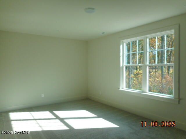 12874 Mallard Rock Road Zebulon, NC 27597 - Photo 18 of 25 DSCN0024