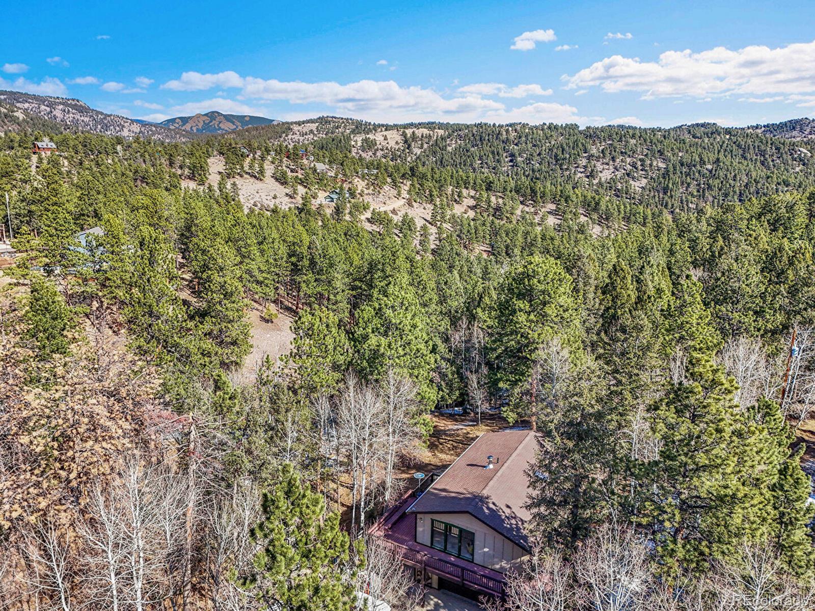 638 Impala Trail Bailey, CO 80421 - Photo 46 of 50