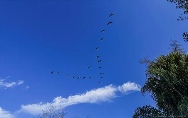 a view of backyard with green space