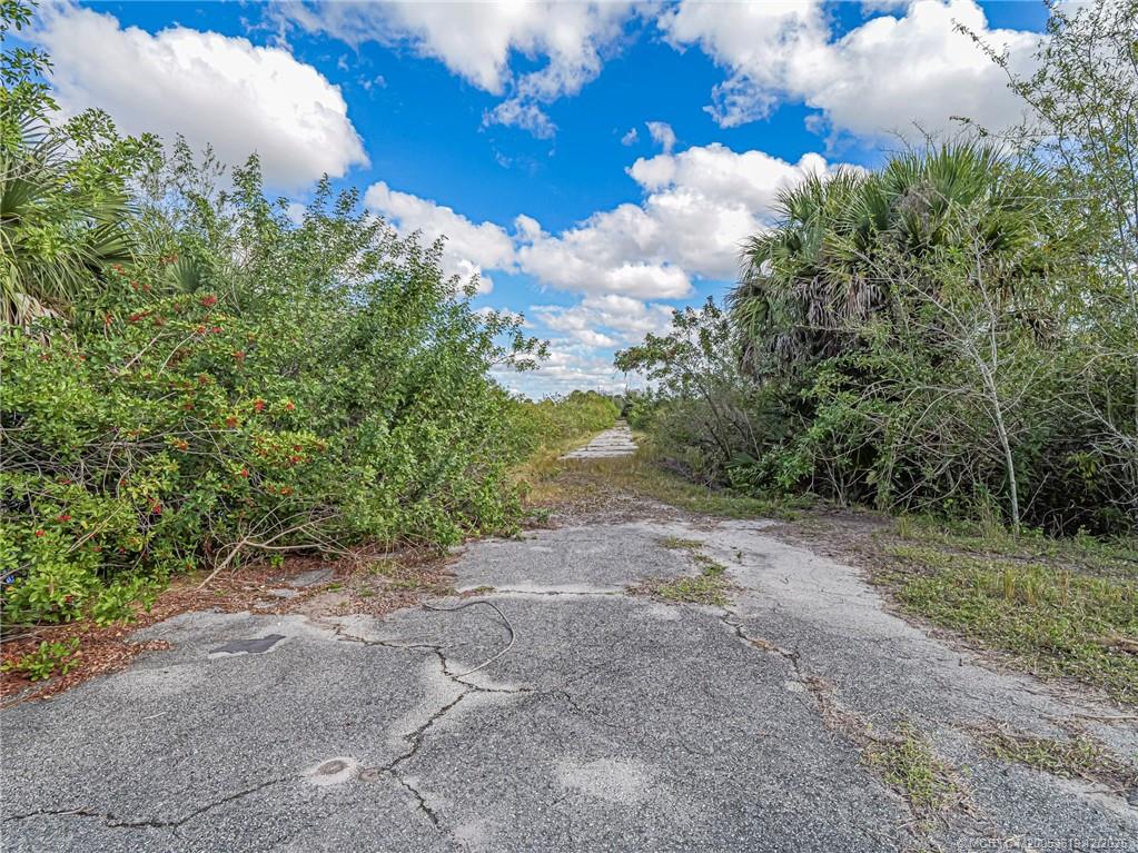 6235 Highway 98 Okeechobee, FL 34972 - Photo 23 of 28 a view of a yard with a tree