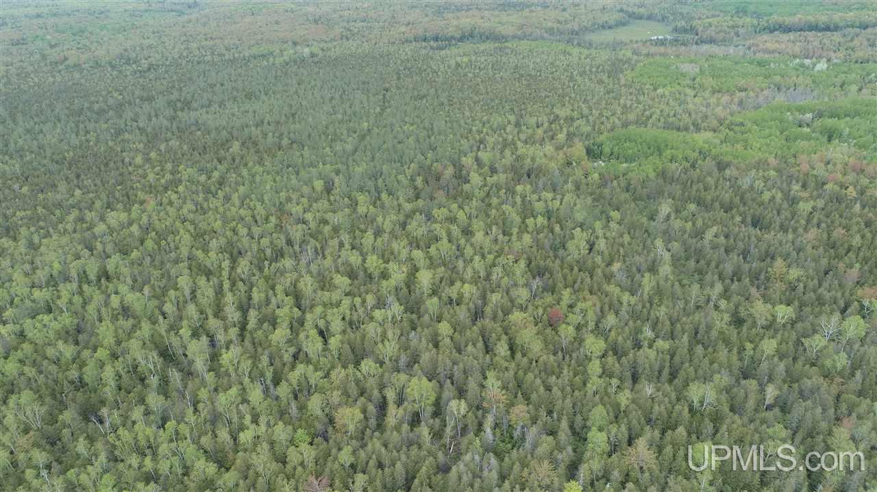 2 Rd Rock Mi 49880 Road Rock, MI 49880 - Photo 6 of 39