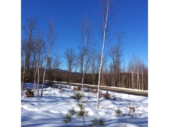 Lot #17 Nickleback Road Center Conway, NH 03813 - Photo 1 of 1 Gallery Image 1