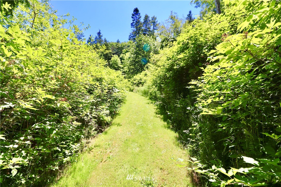 781 Gardiner Beach Road Sequim, WA 98382 - Photo 16 of 39 Gallery Image 16