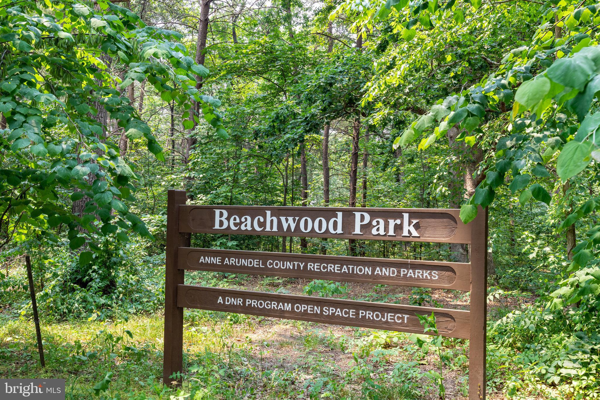 219 Oak Drive Pasadena, MD 21122 - Photo 43 of 43