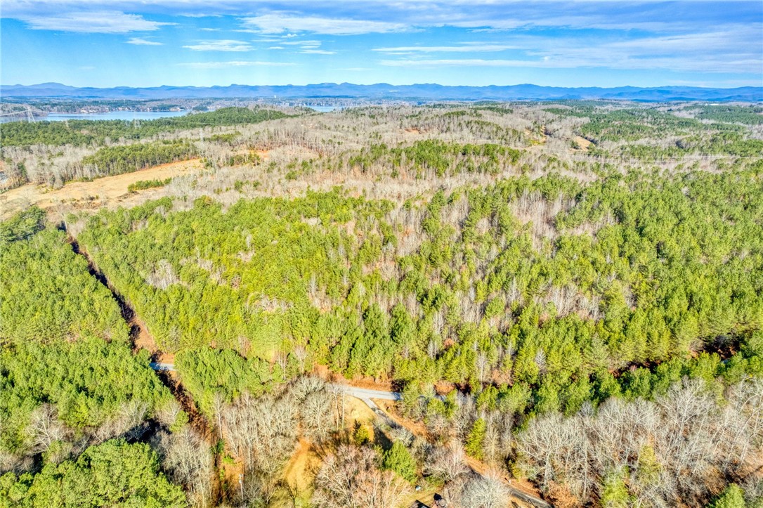 Six Dan Ross Road Six Mile, SC 29682 - Photo 16 of 19