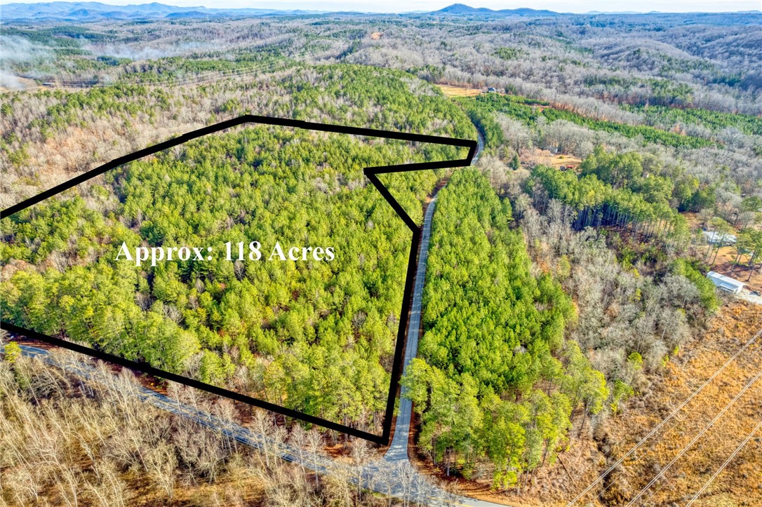 Six Dan Ross Road Six Mile, SC 29682 - Photo 3 of 19