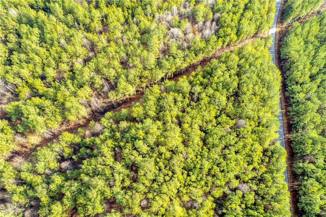 Six Dan Ross Road Six Mile, SC 29682 - Photo 4 of 19
