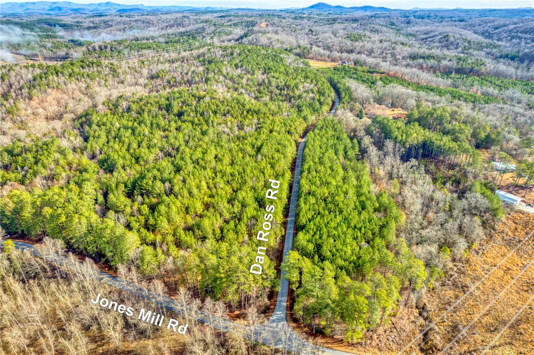 Six Dan Ross Road Six Mile, SC 29682 - Photo 5 of 19