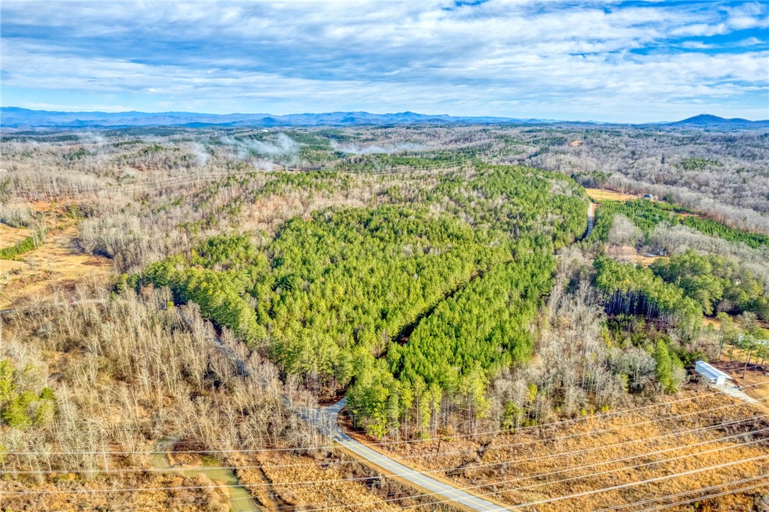 Six Dan Ross Road Six Mile, SC 29682 - Photo 6 of 19