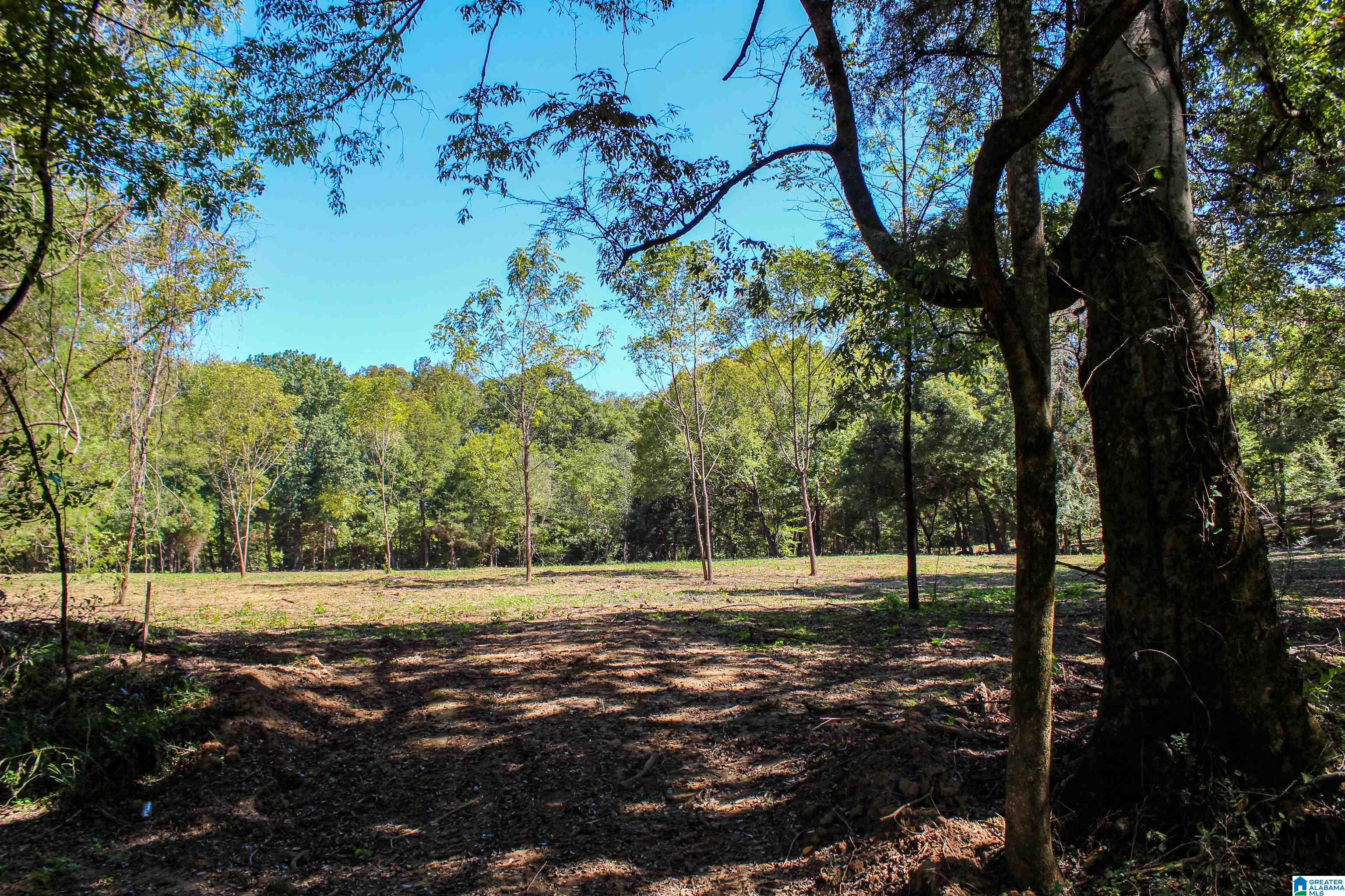1 Sawyers Cove Road Calera, AL 35040 - Photo 15 of 62 Gallery Image 15