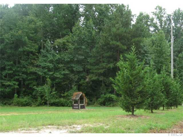 2728 Edgemont Road Wendell, NC 27591 - Photo 16 of 22 Yard