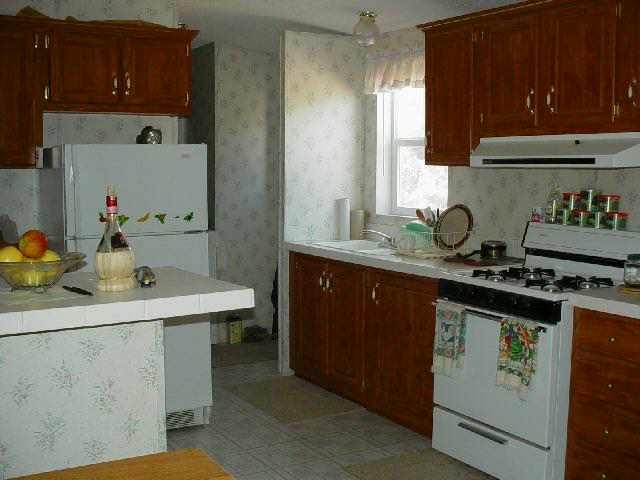 3790 Pebble Road, Unit 1 Wellington, NV 89444 - Photo 3 of 8 Gallery Image 3