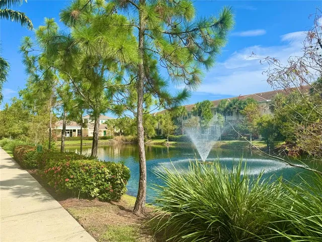 a view of a swimming pool with a yard