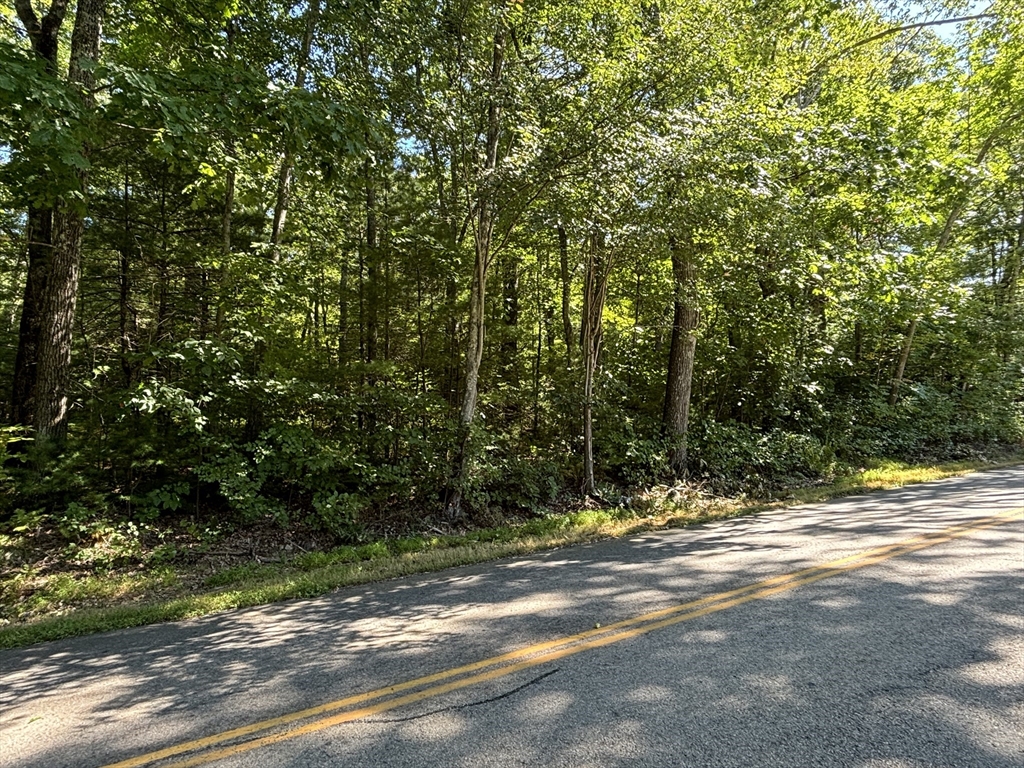 247 New Braintree Road West Brookfield, MA 01585 - Photo 3 of 4 a view of a yard with plants and trees