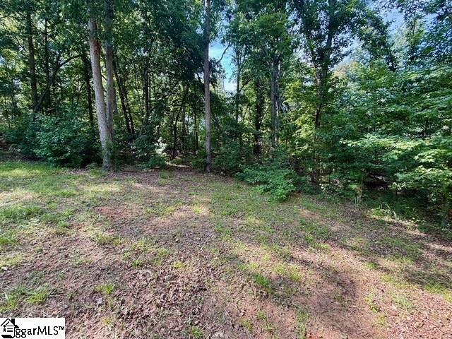 680 Peanut Road Woodruff, SC 29388 - Photo 25 of 25