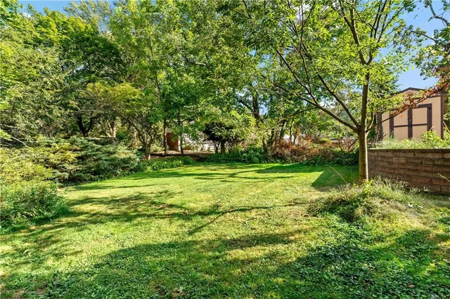 a backyard of a house with lots of green space