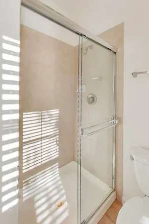 a bathroom with a shower and a toilet
