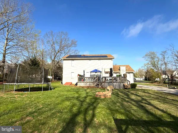 a view of a park with large trees