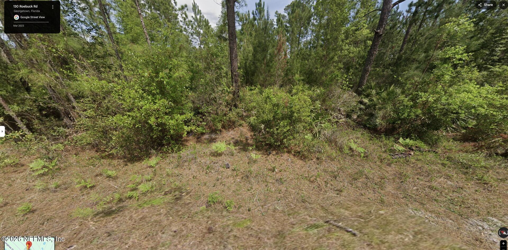 130 Roebuck Road Georgetown, FL 32139 - Photo 2 of 6 a view of a dry yard with large trees