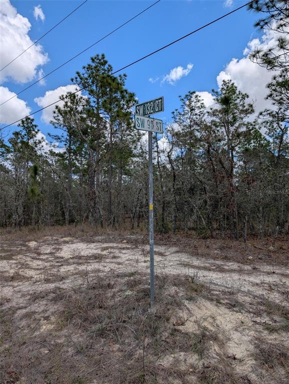 0 Southwest 90th Street Dunnellon, FL 34432 - Photo 8 of 8