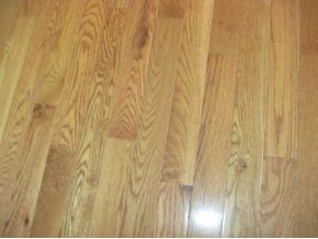 531 Mountain View Road Bluff City, TN 37618 - Photo 12 of 21 Hardwood flooring