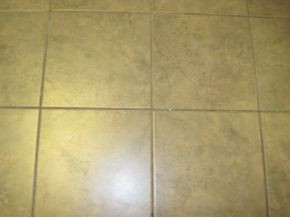 531 Mountain View Road Bluff City, TN 37618 - Photo 13 of 21 Tile in kitchen