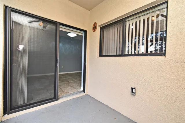 a view of a yard with a large tree