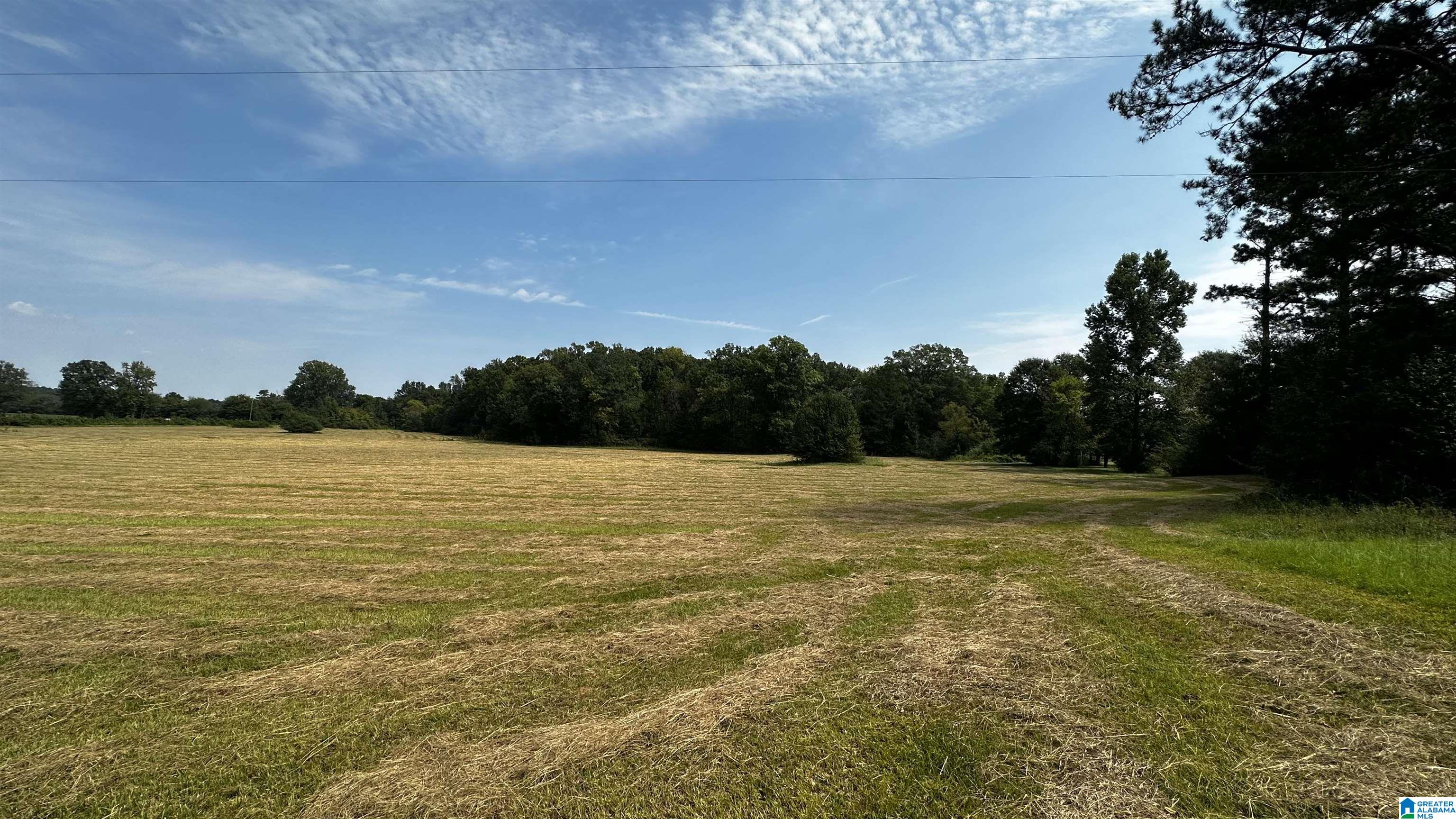 0 Rock School Road Harpersville, AL 35078 - Photo 4 of 15