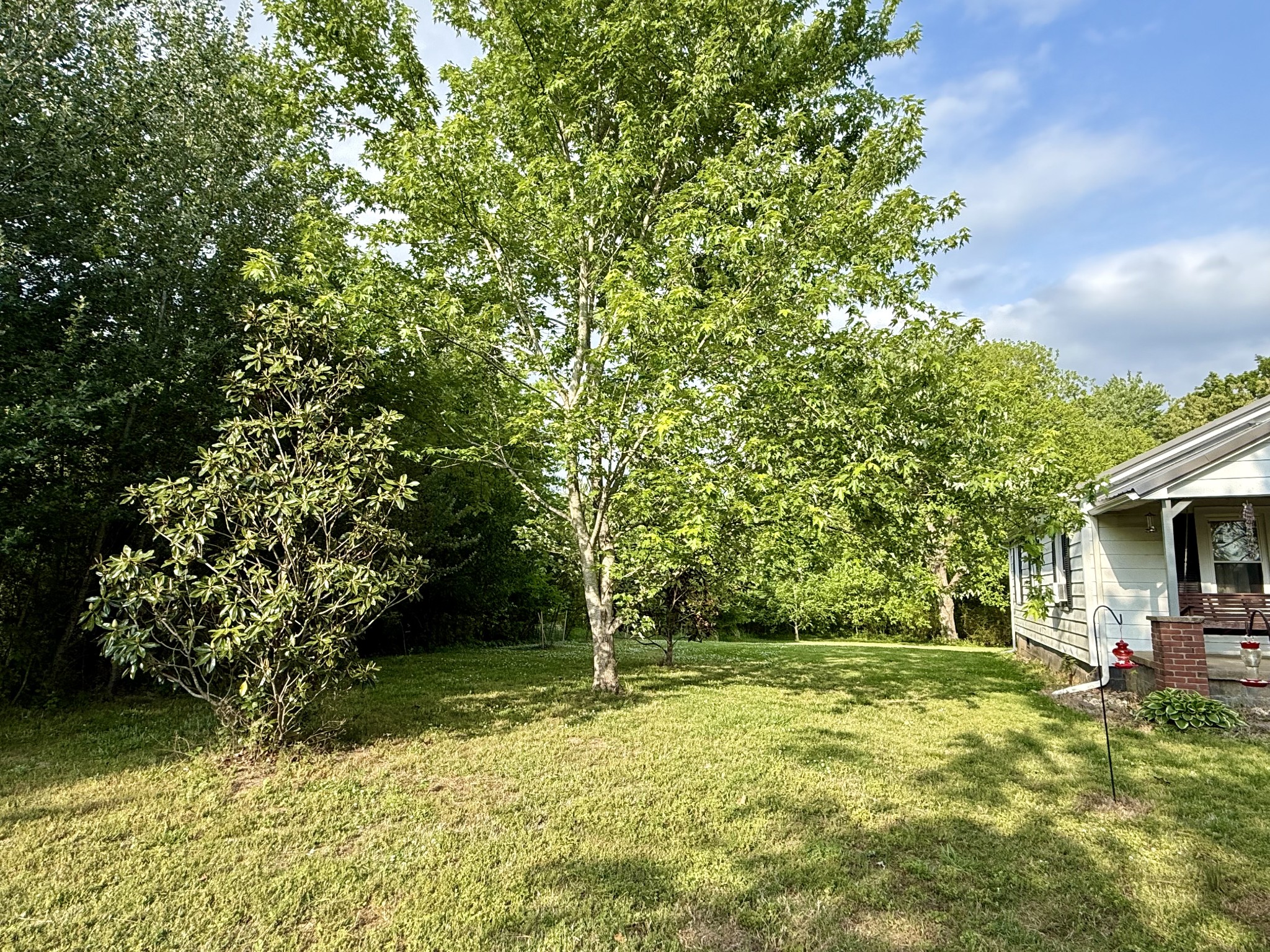 1408 Point Mason Road Big Sandy, TN 38221 - Photo 4 of 35 Gallery Image 4