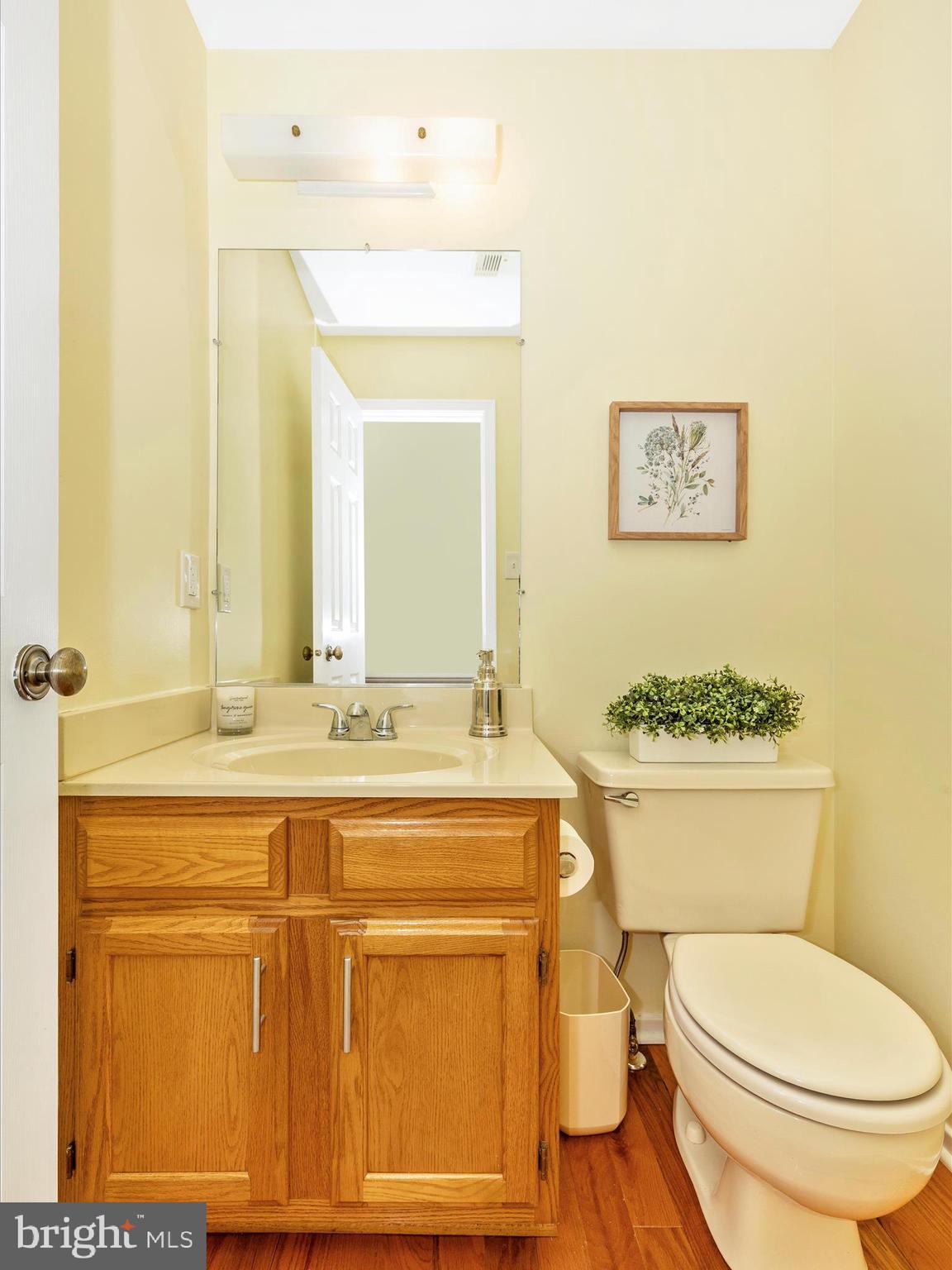 4503 Bartholows Road Mount Airy, MD 21771 - Photo 23 of 65 a bathroom with a toilet a sink and mirror