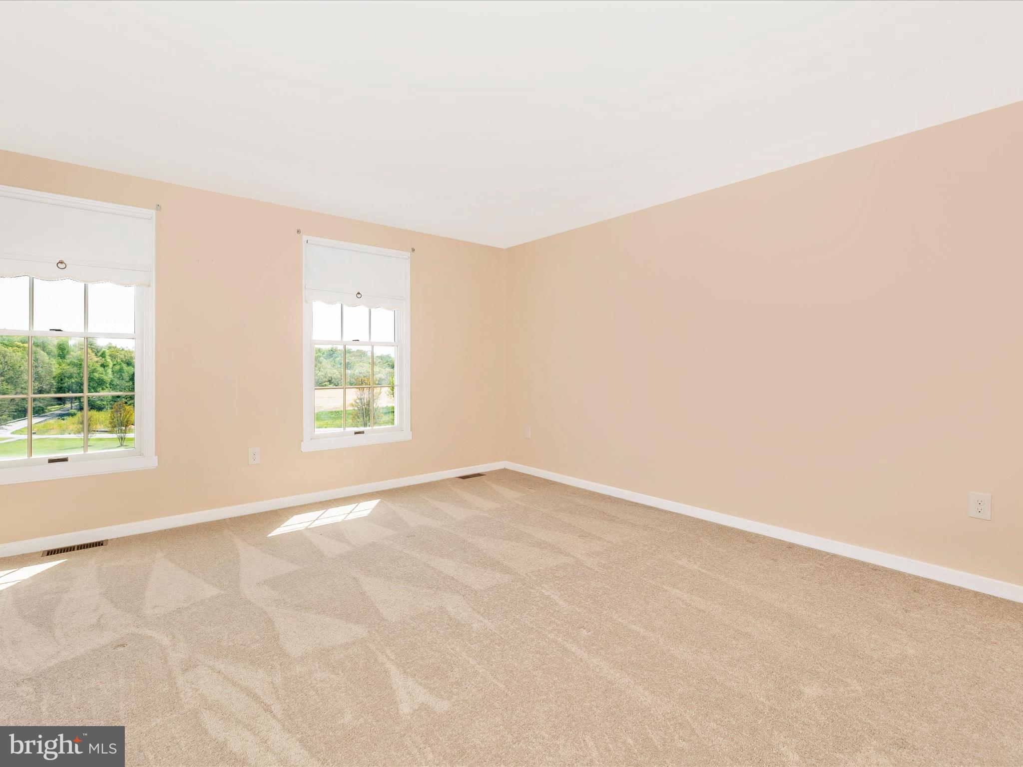 4503 Bartholows Road Mount Airy, MD 21771 - Photo 37 of 65 an empty room with windows