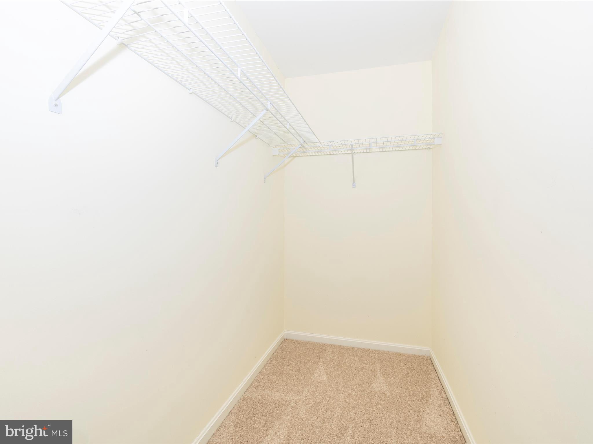 4503 Bartholows Road Mount Airy, MD 21771 - Photo 44 of 65 Lower Level Walk in Closet