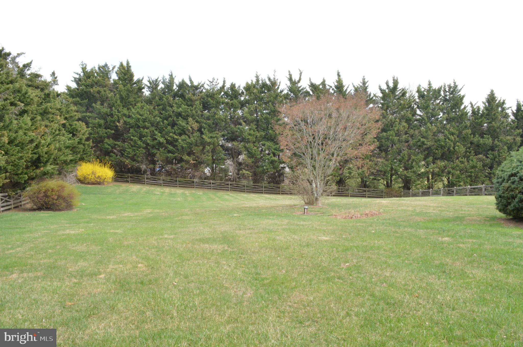 4503 Bartholows Road Mount Airy, MD 21771 - Photo 53 of 65 a view of a yard with a trees